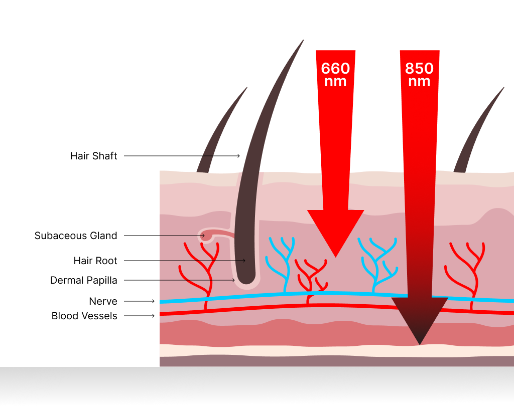 bon-charge-red-light-therapy-wavelengths-for-hair-growth