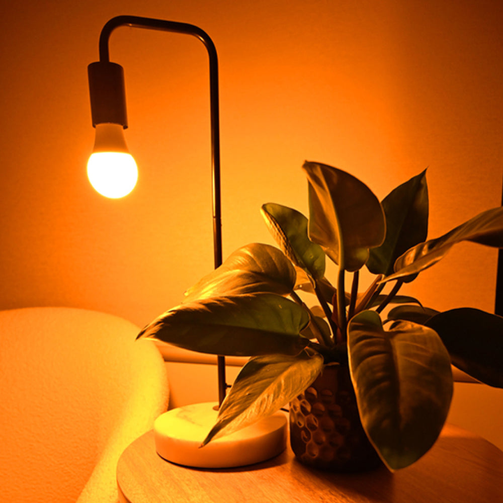 Table lamp glow from full spectrum lightbulb